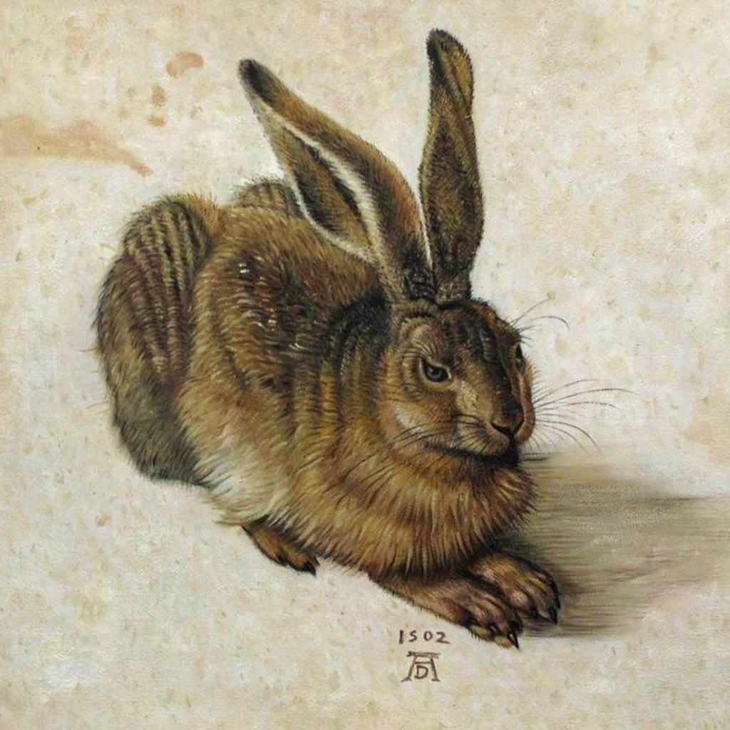Reproduktion als Ölgemälde - Feldhase von Albrecht Dürer - Tierportrait